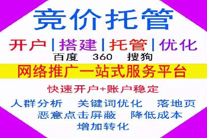行业领先的SEM策略：成功案例与经验分享
